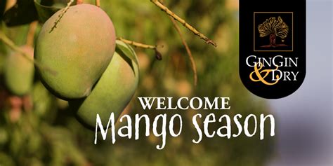 mango ess concentrix|Welcome [applications.mango.com].